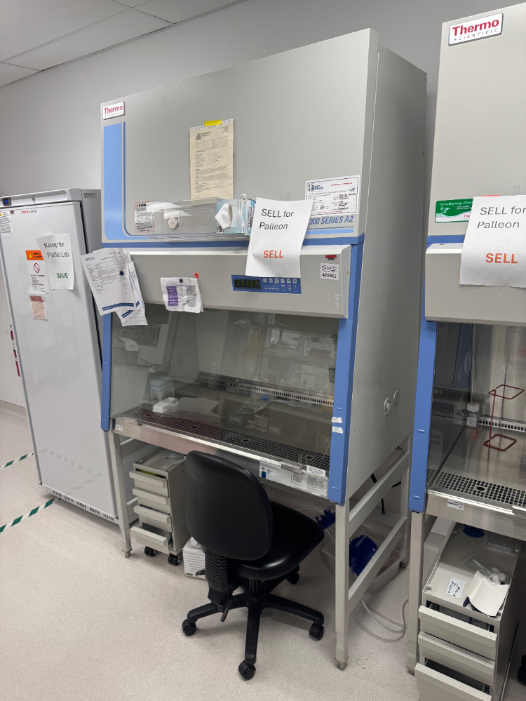 Image of Thermo 1300 Series A2 4' BioSafety Cabinet